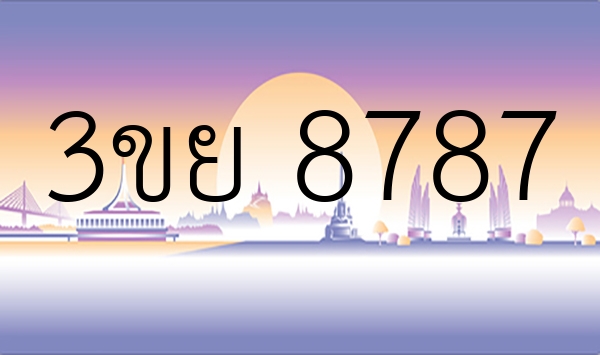 3ขย 8787